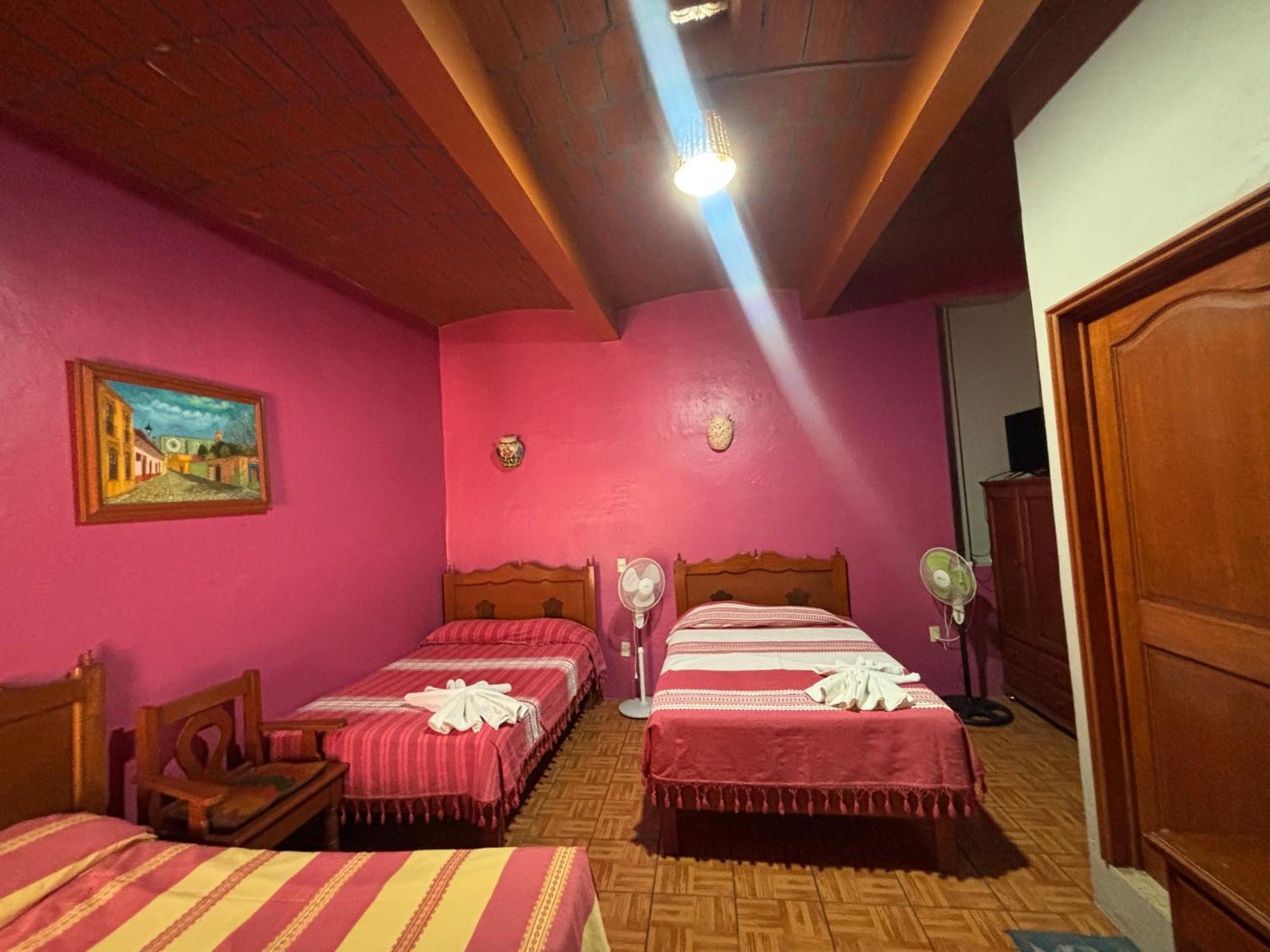 Hotel Posada "Mi Rosita" Oaxaca Zewnętrze zdjęcie