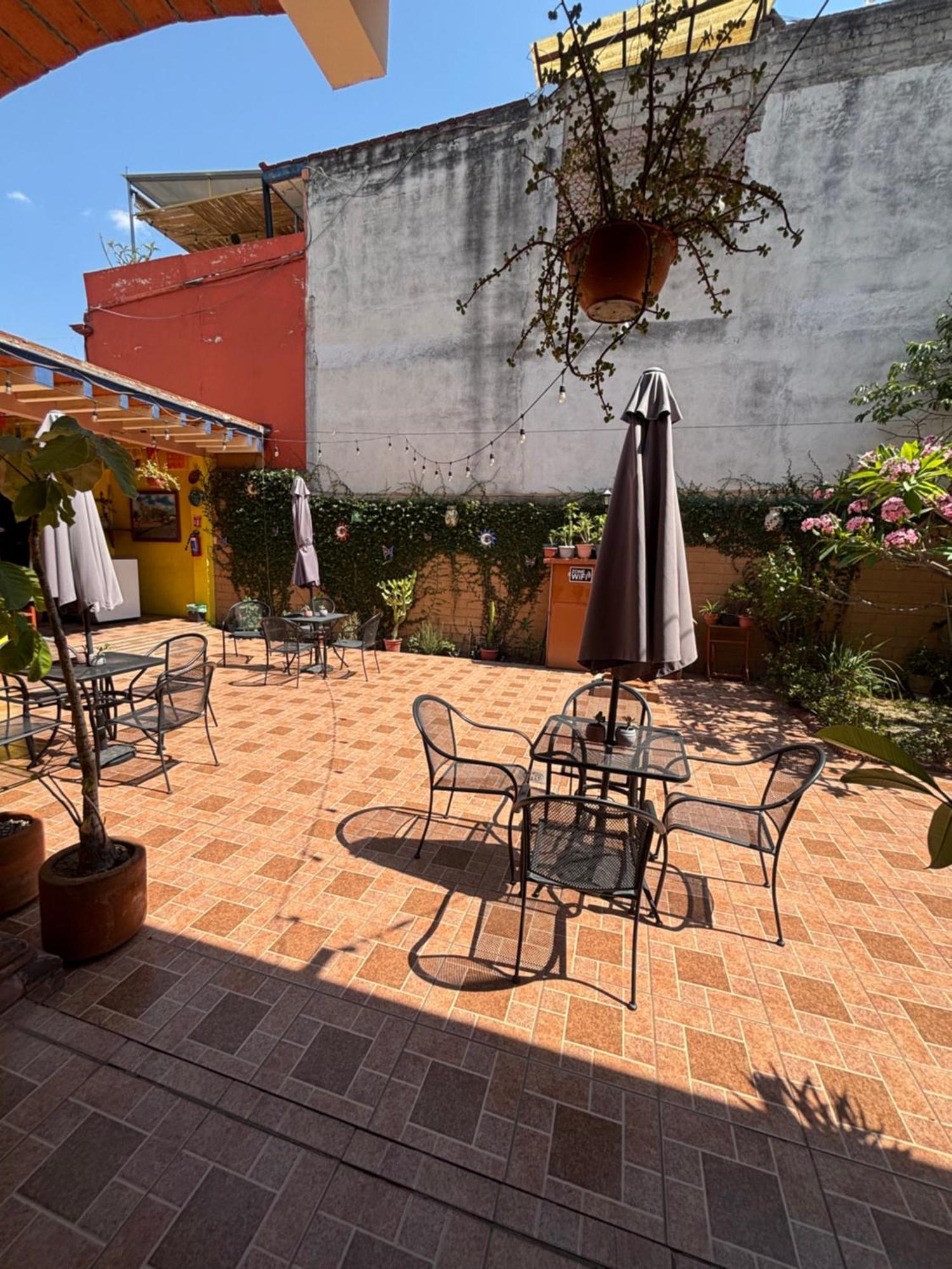 Hotel Posada "Mi Rosita" Oaxaca Zewnętrze zdjęcie