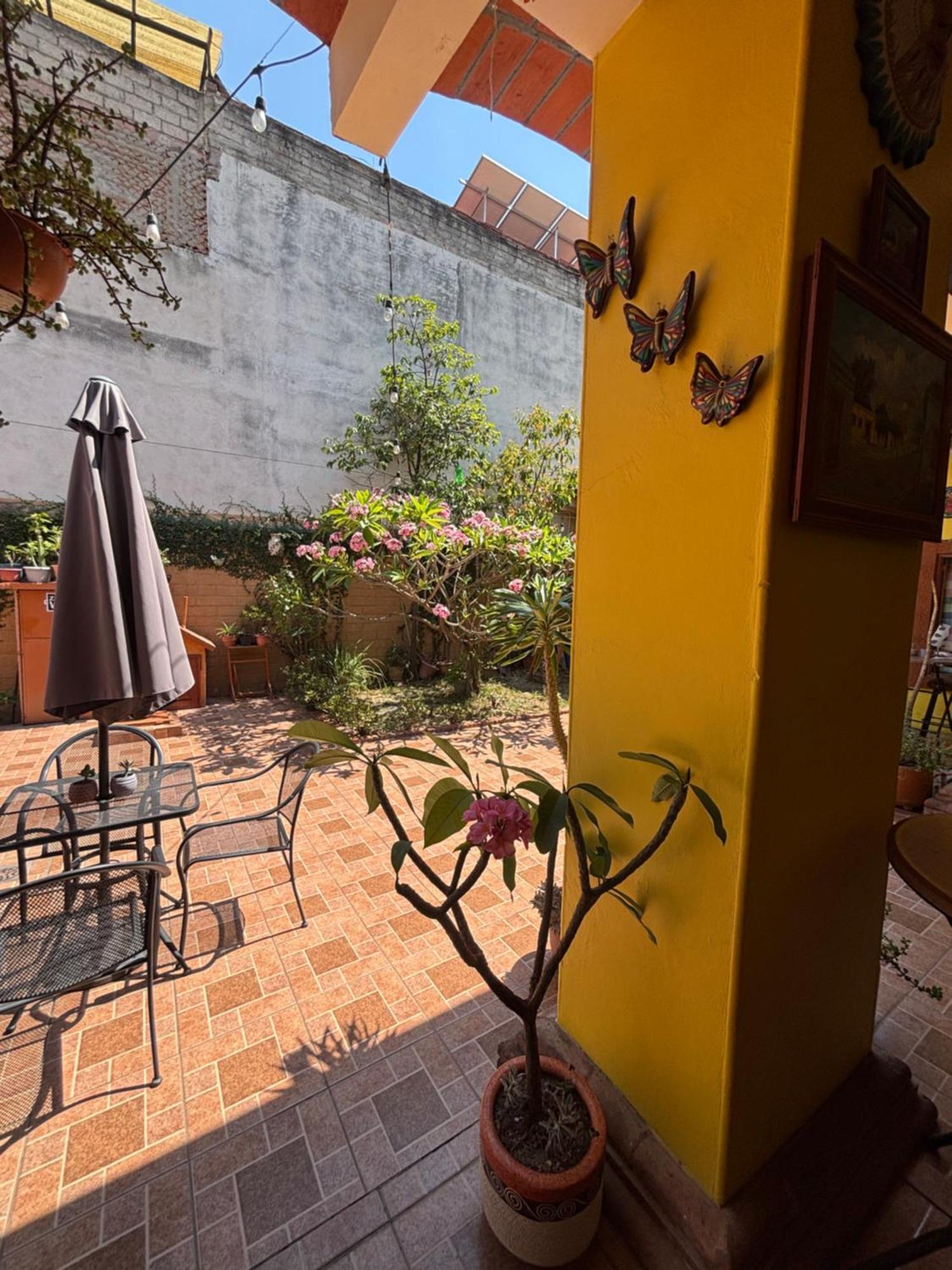 Hotel Posada "Mi Rosita" Oaxaca Zewnętrze zdjęcie