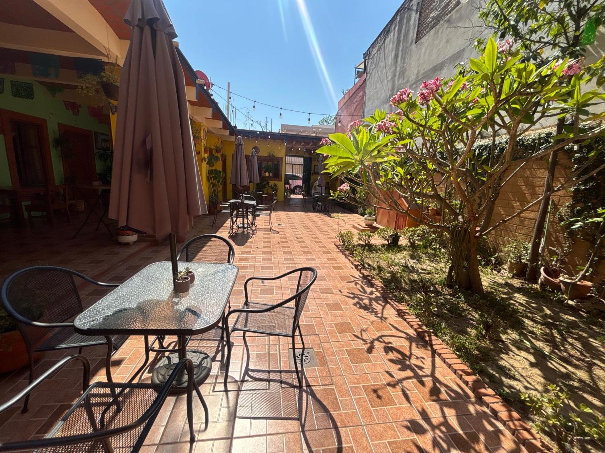 Hotel Posada "Mi Rosita" Oaxaca Zewnętrze zdjęcie